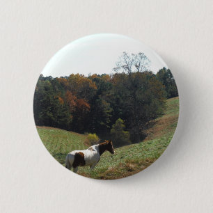 Brown and white horse at autumn pond button