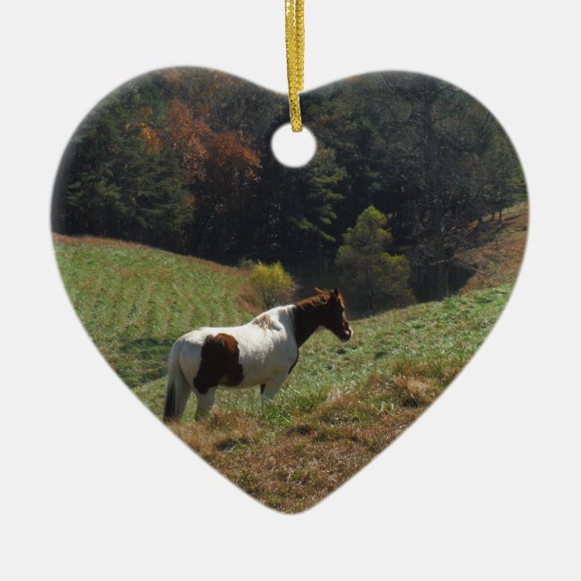 Brown and white horse at autumn pond ceramic ornament (Front)