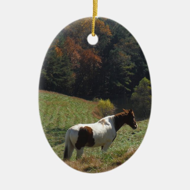 Brown and white horse at autumn pond ceramic ornament (Front)