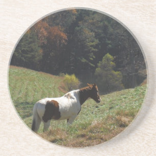 Brown and white horse at autumn pond drink coaster