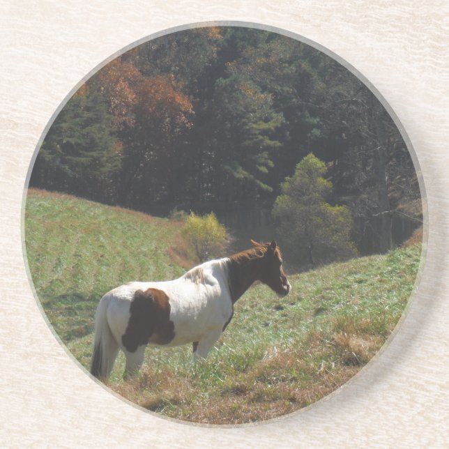 Brown and white horse at autumn pond drink coaster (Front)