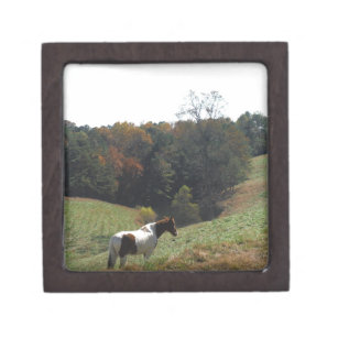 Brown and white horse at autumn pond gift box