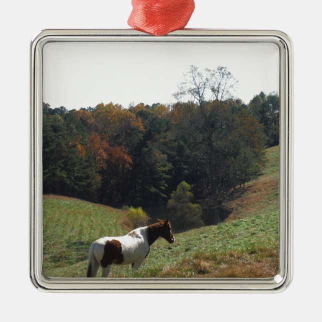 Brown and white horse at autumn pond metal ornament (Front)
