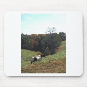 Brown and white horse at autumn pond mouse pad