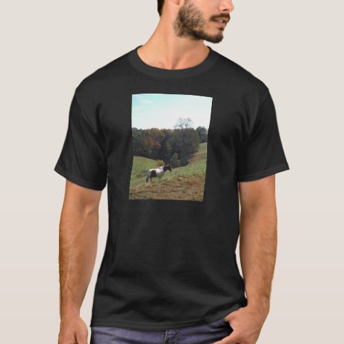 Brown and white horse at autumn pond T_Shirt