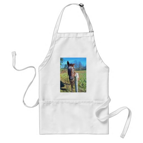 Brown and white horse  blue skys adult apron