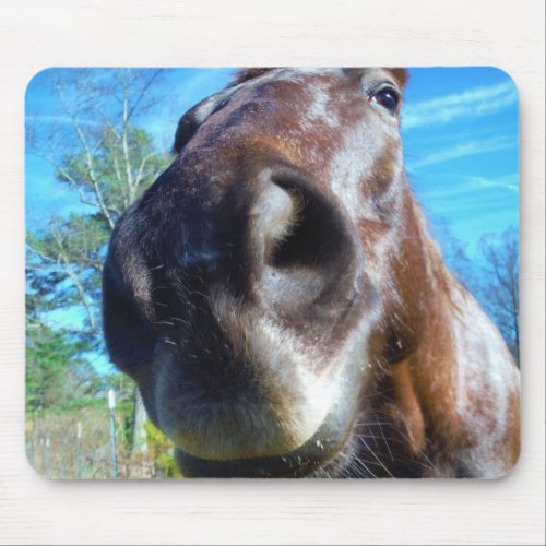 Brown and white horse close up of  face mouse pad
