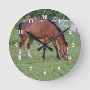 brown and white horse grazing equine animal round clock