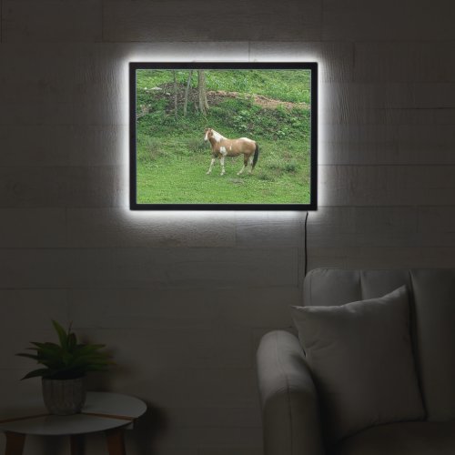 Brown and White Horse in Field LED Sign