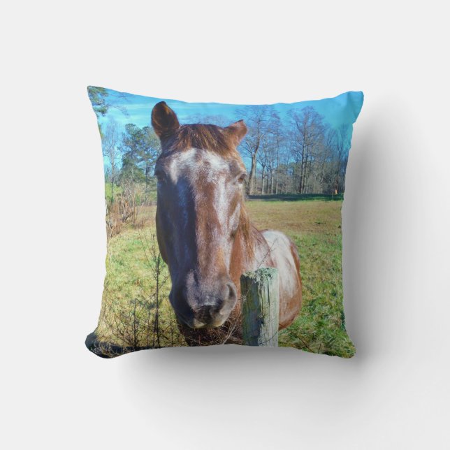 Brown and white horse throw pillow (Front)