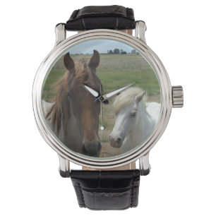 Brown And White Hosrses, Watch
