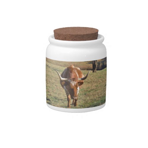 Brown and White Longhorn Bull Blue Sky Candy Jar
