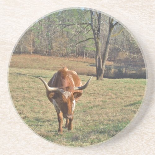 Brown and White Longhorn Bull Blue Sky Drink Coaster