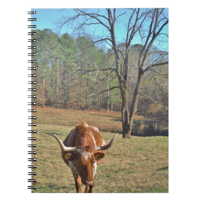 Brown and White Longhorn Bull Blue Sky Notebook (Front)