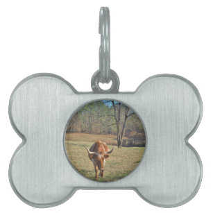 Dog Tags for Dogs Western Pet Tag OX Cattle Skull Dog Tag 