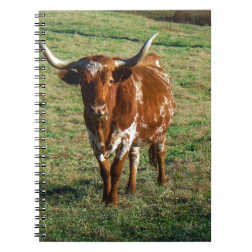 Brown and White Longhorn Bull Notebook