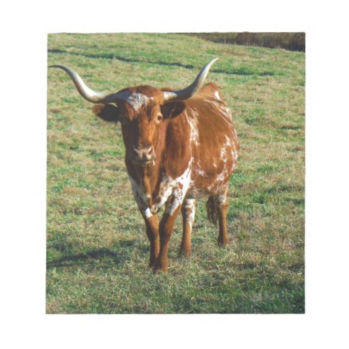 Brown and White Longhorn Bull Notepad