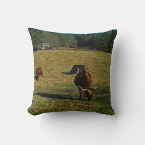 Brown and white longhorn cattle throw pillow