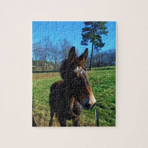 Brown and white mule jigsaw puzzle