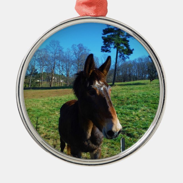 Brown and white mule metal ornament (Front)
