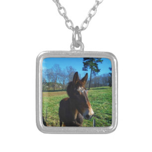 Brown and white mule silver plated necklace