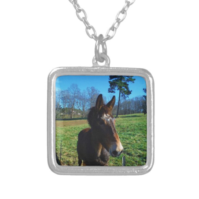 Brown and white mule silver plated necklace (Front)