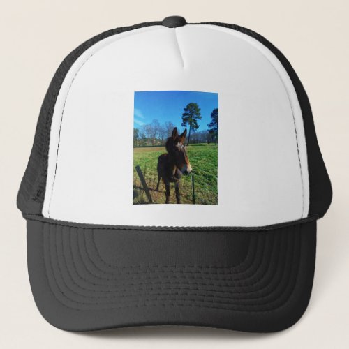 Brown and white mule trucker hat