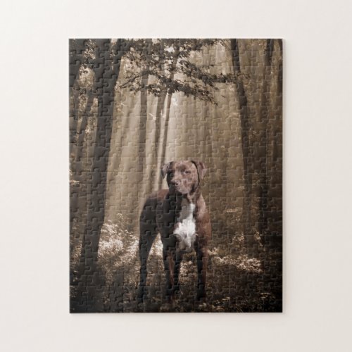 Brown and white pitbull in woodland sunbeam jigsaw puzzle