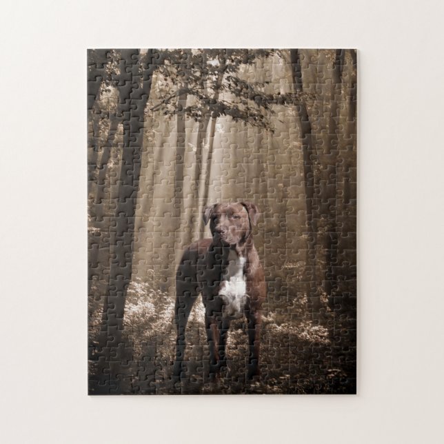 Brown and white pitbull in woodland sunbeam jigsaw puzzle (Vertical)