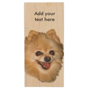 Brown and White Pomeranian Dog, Customizable Text Wood USB Flash Drive