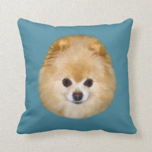 pomeranian pillow