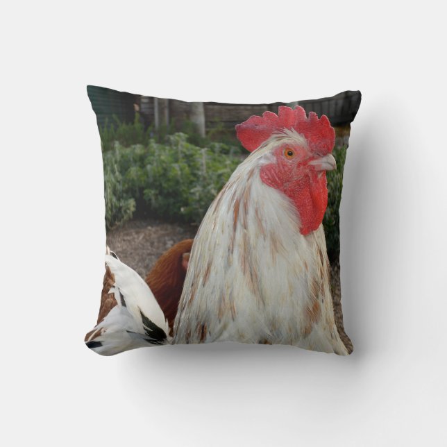 Brown And White Proud Rooster, Throw Cushion. Pillow (Front)