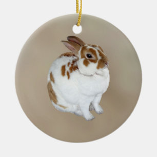 Brown and White Rex Rabbit Ceramic Ornament