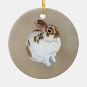 Brown and White Rex Rabbit Ceramic Ornament