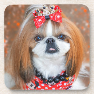 Brown and White Shih Tzu Puppy Dog Beverage Coaster