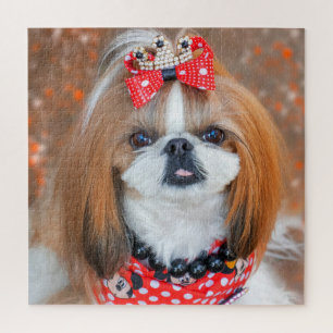 Brown and White Shih Tzu Puppy Dog Jigsaw Puzzle