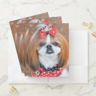 Brown and White Shih Tzu Puppy Dog Pocket Folder