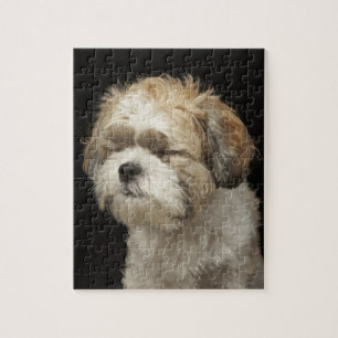 Brown and white Shih Tzu with eyes closed Jigsaw Puzzle