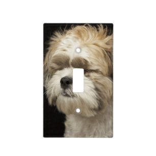 Brown and white Shih Tzu with eyes closed Light Switch Cover