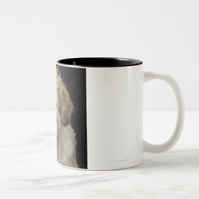 Brown and white Shih Tzu with eyes closed Two-Tone Coffee Mug (Right)