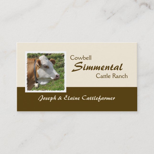 Brown and white Simmental cow with cowbell Business Card (Front)