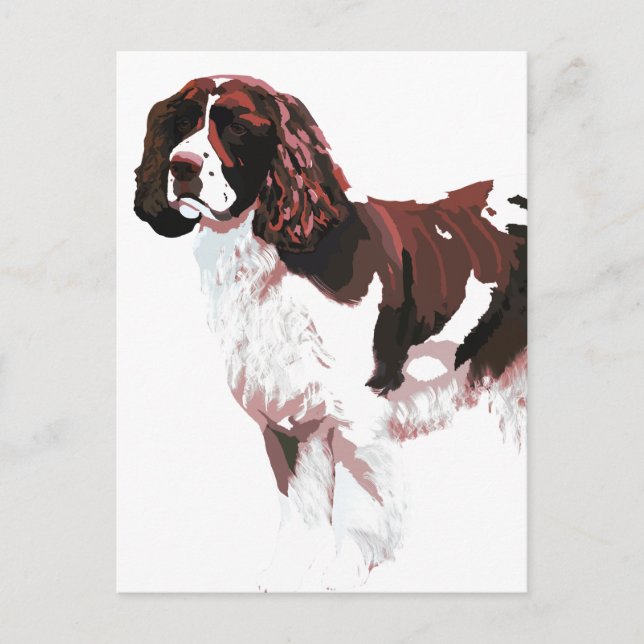 Brown and white Springer Spaniel card (Front)