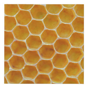 Brown and white square pattern faux canvas print