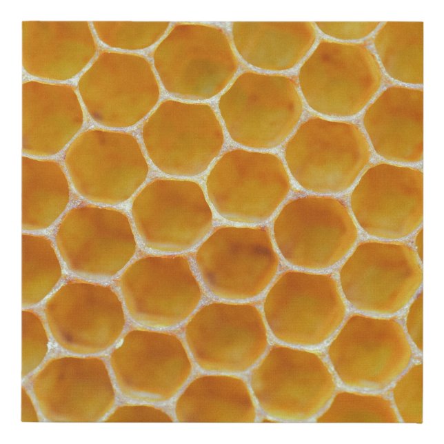Brown and white square pattern faux canvas print (Front)