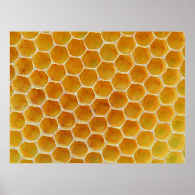 Brown and white square pattern poster (Front)