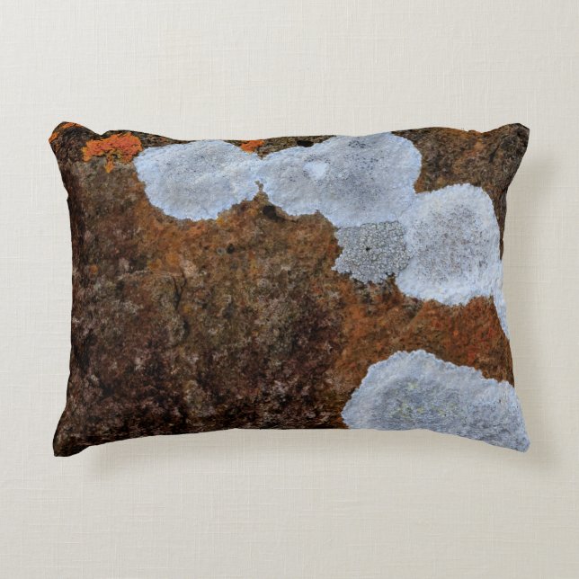 Brown and white stone fragment accent pillow (Front)