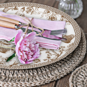 https://rlv.zcache.com/brown_and_white_toile_de_jouy_bridal_shower_paper_plates-r_795s1g_307.jpg