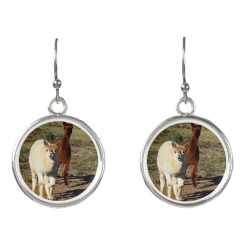 Brown And White Young Alpacas Earrings