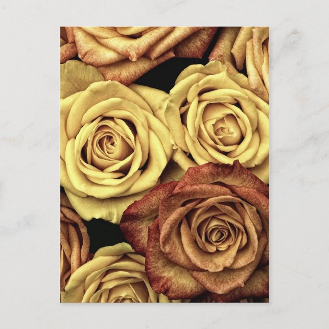 Brown and Yellow Post Card (Front)