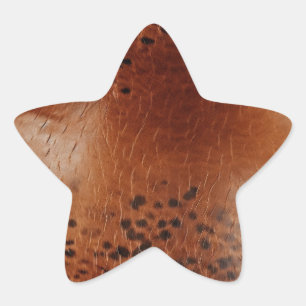 Brown Animal Print Star Sticker
